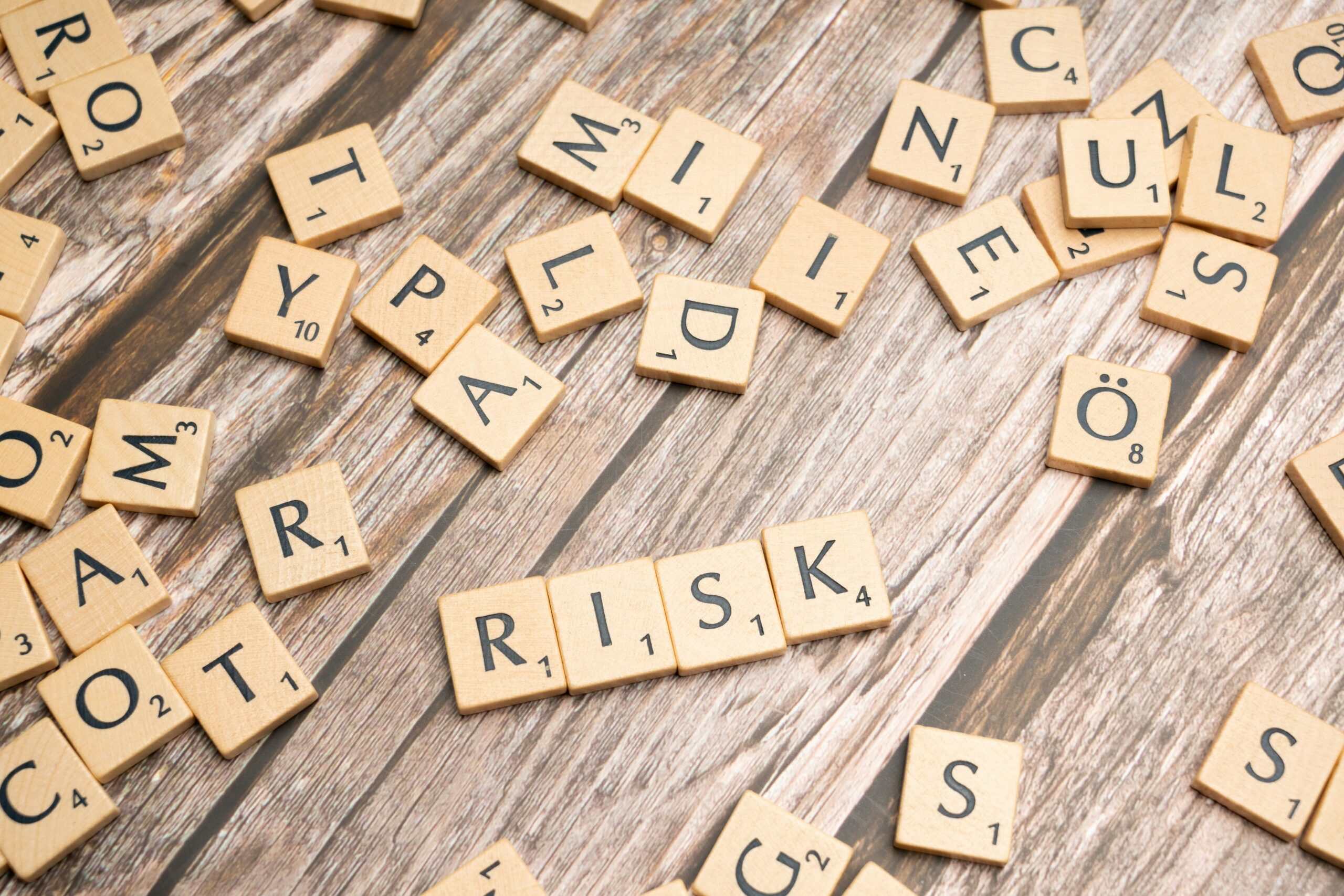Key Risk Management Strategies Adopted by Every Business